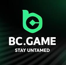 Exploring the BC.Game JP Online Platform Revolutionizing Japanese Gaming